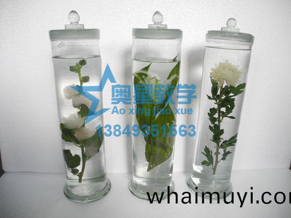  如何清(qing)洗生物(wu)切片標本(ben)的(de)玻片(pian)？