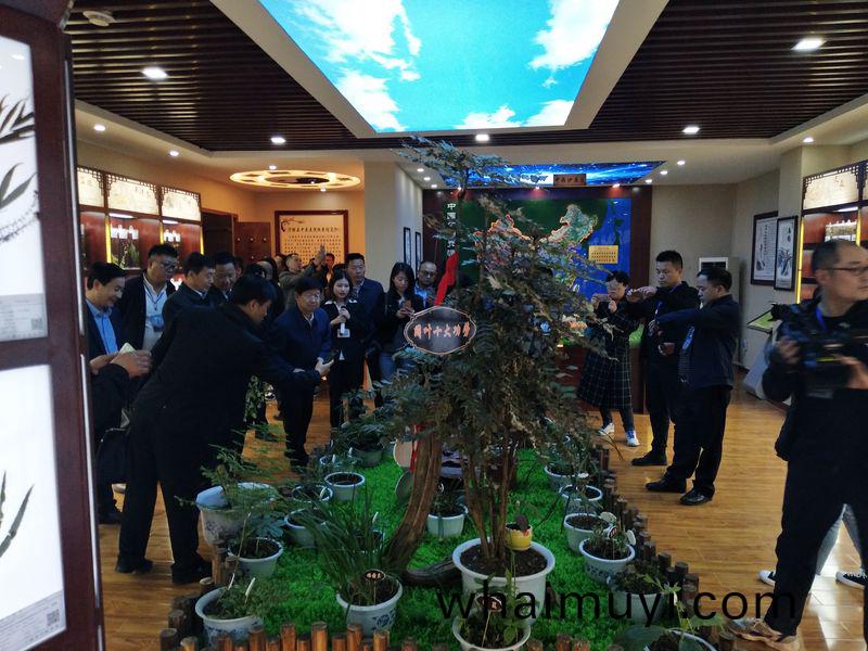 標本館(guan)對(dui)外(wai)交流(liu)