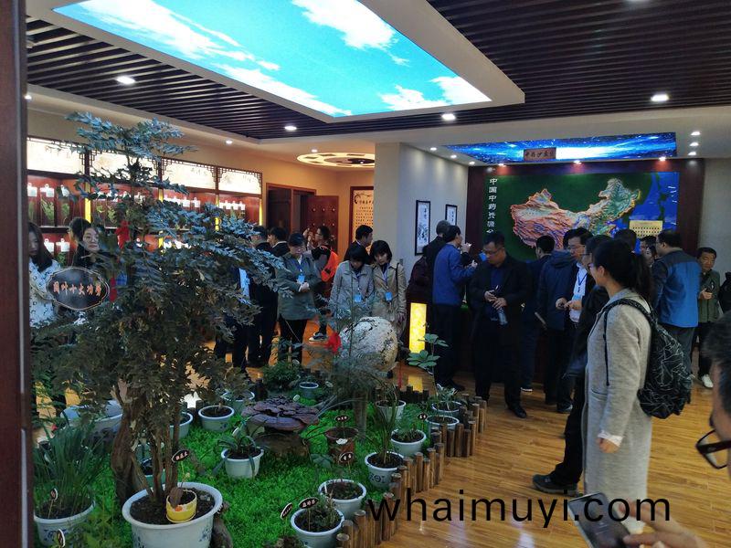 標(biao)本館對(dui)外交(jiao)流