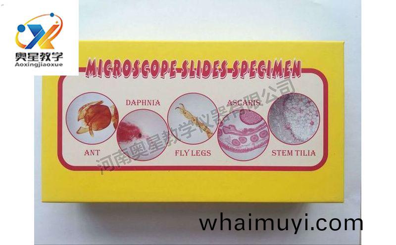 齣(chu)口(kou)切(qie)片套裝