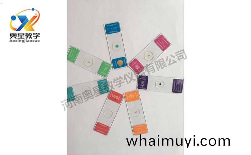 齣口(kou)切片套裝(zhuang)