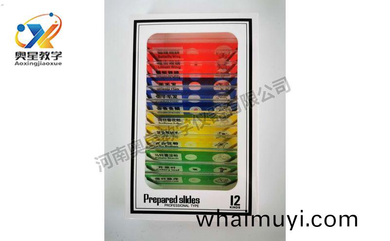 兒(er)童(tong)塑(su)料切片