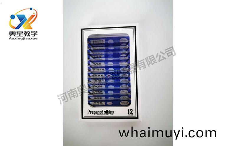 兒童(tong)塑料切片