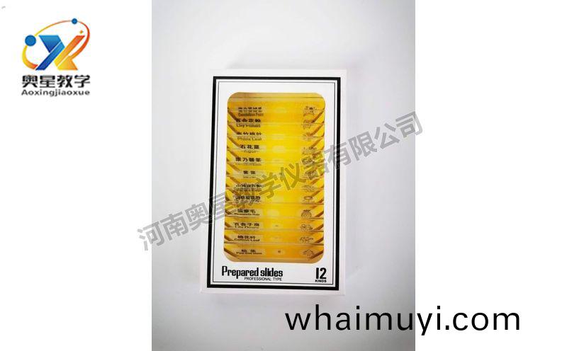 兒(er)童(tong)塑(su)料(liao)切片