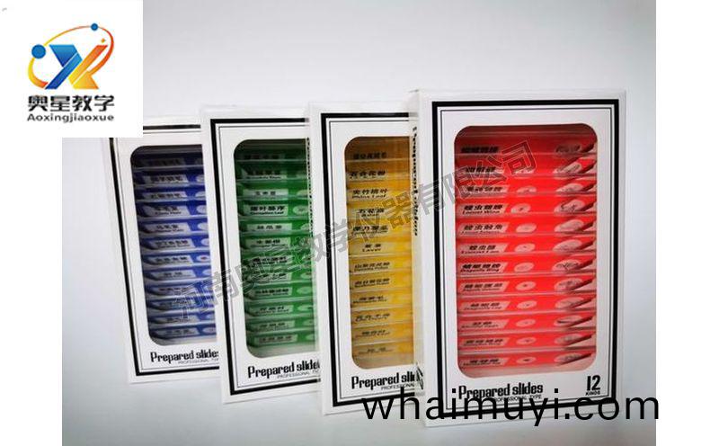 兒(er)童(tong)塑(su)料切片(pian)