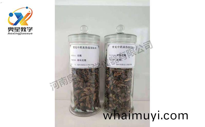 鑒彆(bie)標本(ben)