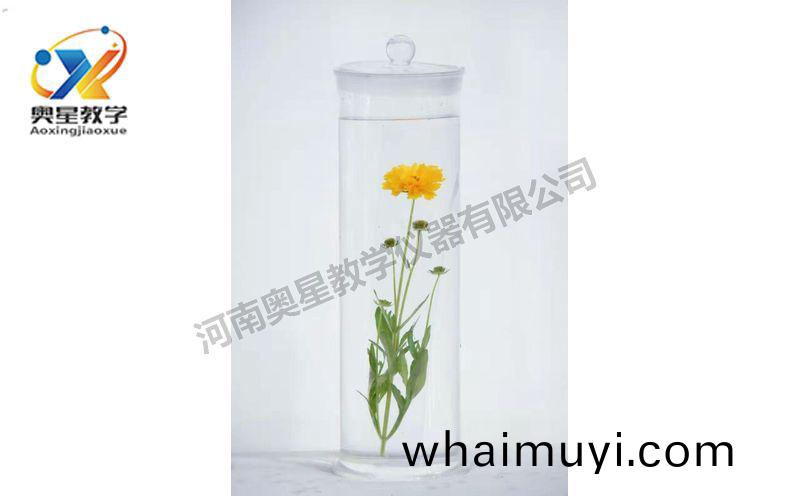 浸漬(zi)標本(ben)