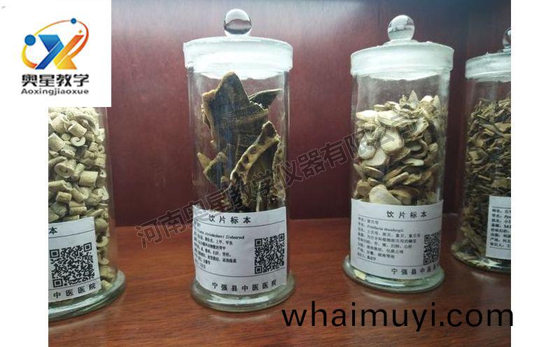 飲(yin)片(pian)標本