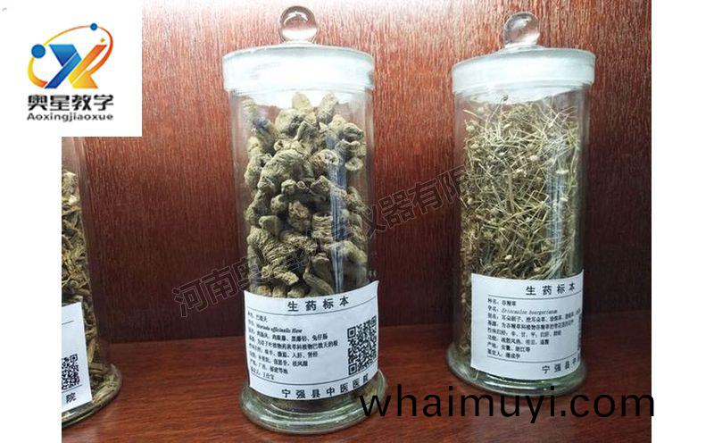 中藥標(biao)本