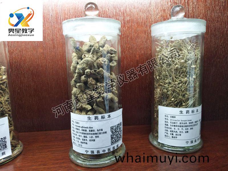 生(sheng)藥(yao)標本(ben)