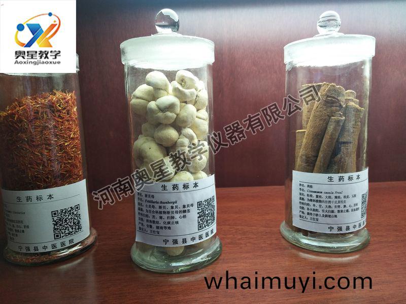 生藥標本(ben)