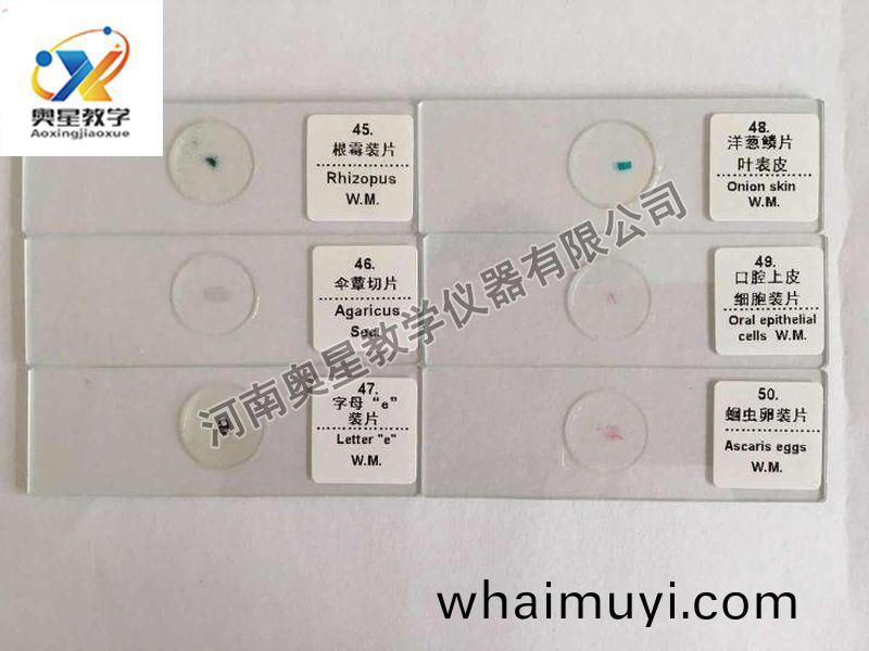 顯微鏡(jing)配套(tao)