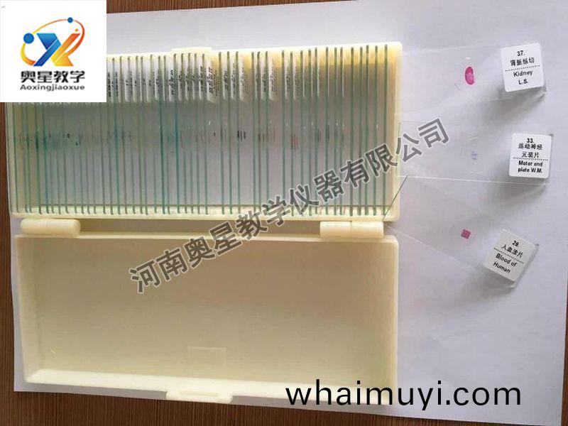 顯微(wei)鏡(jing)配套(tao)