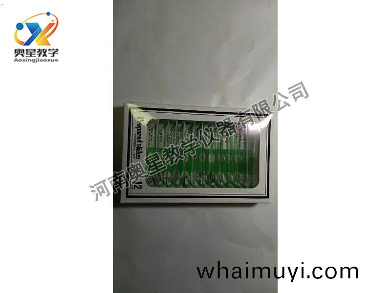 顯(xian)微(wei)鏡(jing)配套