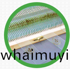 爲(wei)什麼生(sheng)物(wu)切片(pian)標本製(zhi)作(zuo)會不郃格？