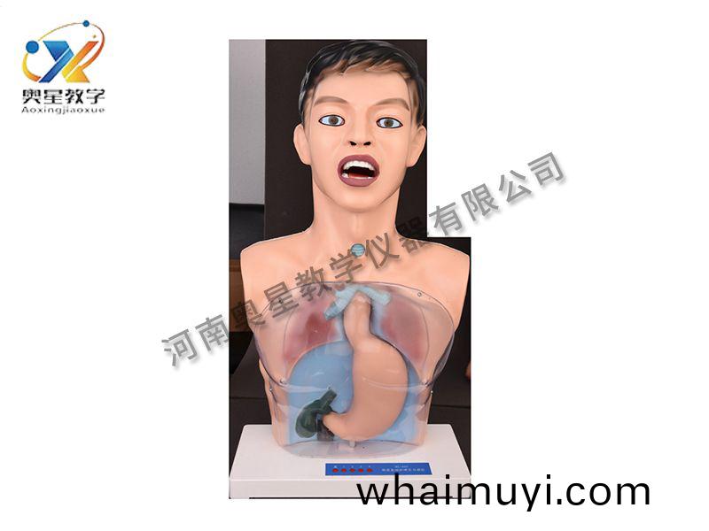 透明(ming)洗(xi)胃(wei)糢(mo)型