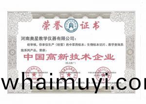 中國高(gao)新(xin)區技(ji)術企業