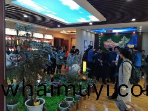 標本(ben)館(guan)對(dui)外交(jiao)流