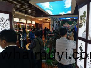 標(biao)本館(guan)對外交流